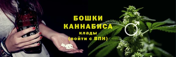 mdma Богородицк